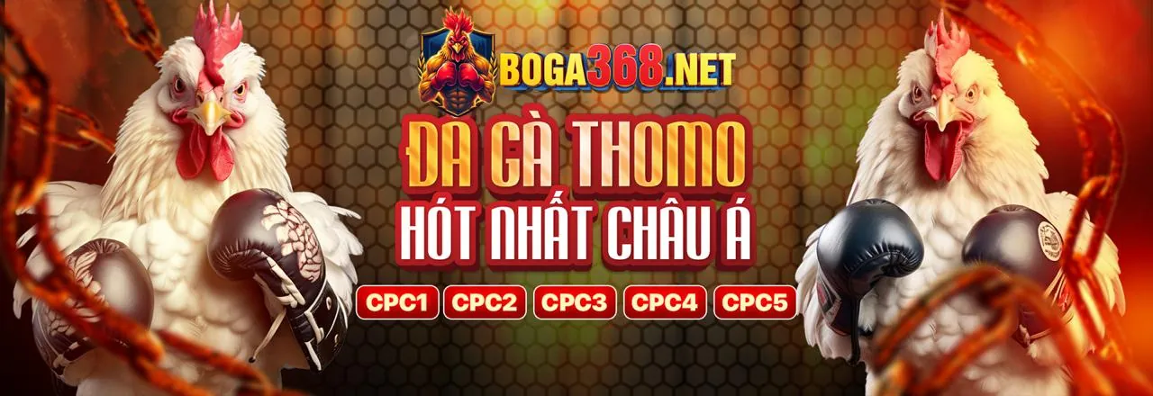Tin tức vs 368 mới nhất