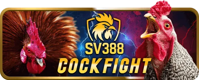 Hỗ trợ khách hàng vs 368